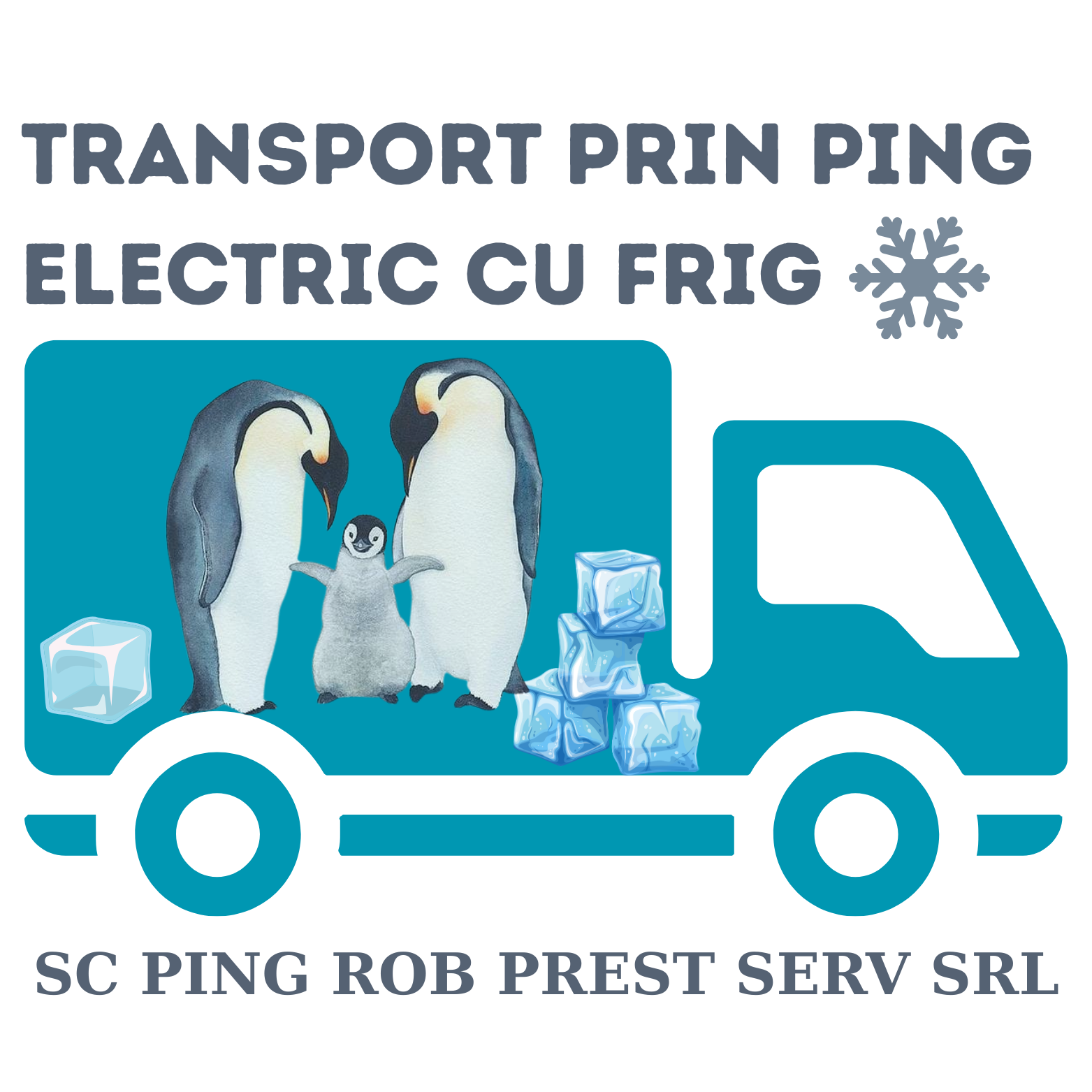 PING ROB PREST SERV SRL